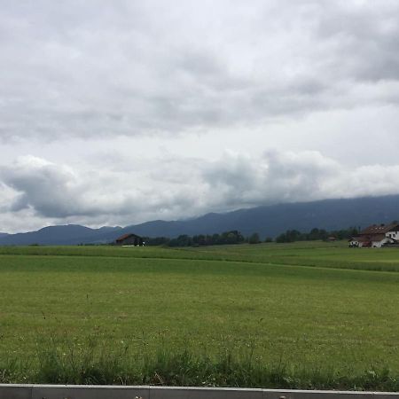 Studio Mit Alpenblick Grossweil Kültér fotó